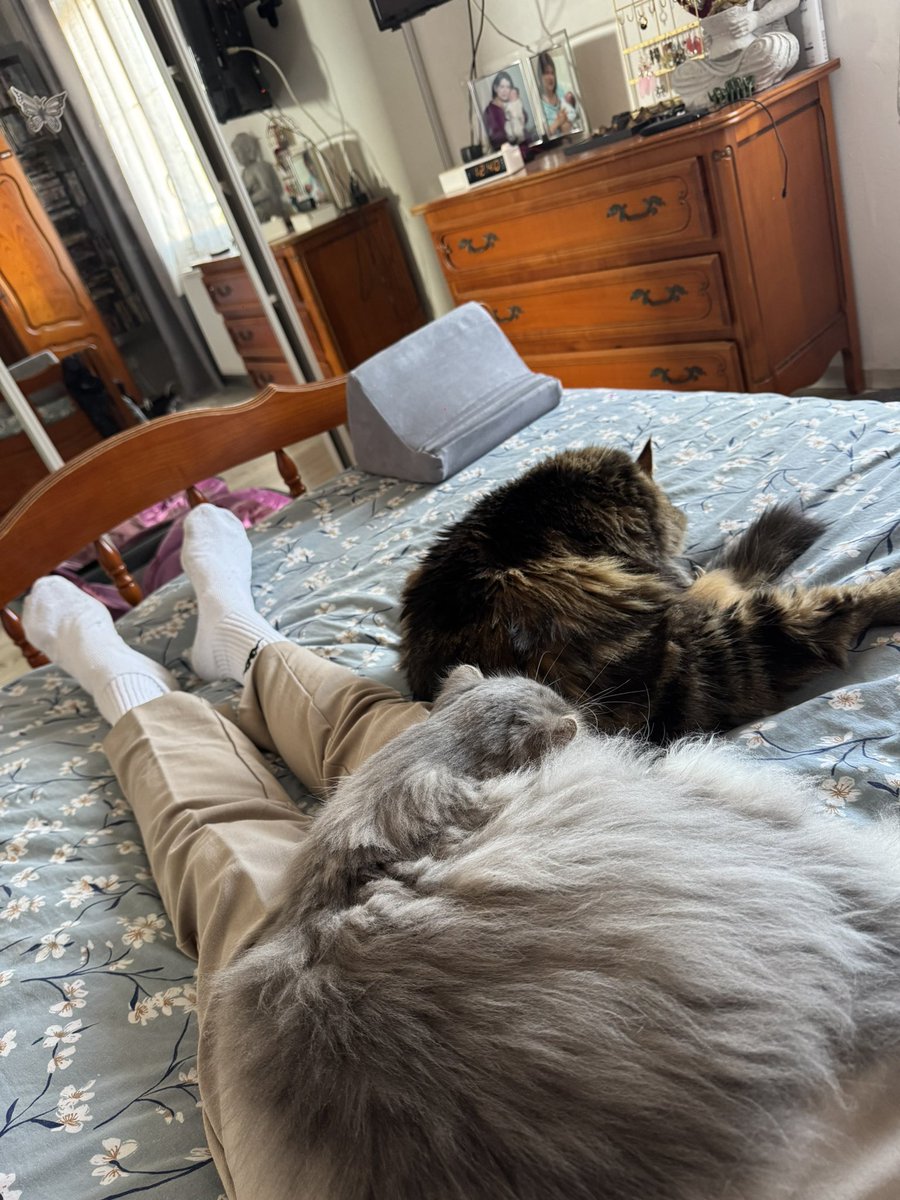 #LGBTQIASupportsTheLeft