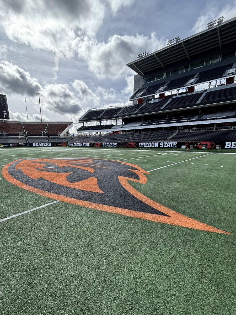 Jack Fournier tweet media