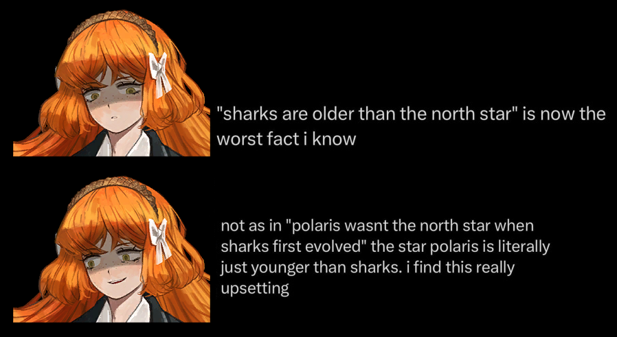 Kitty Little 🔞 tweet media