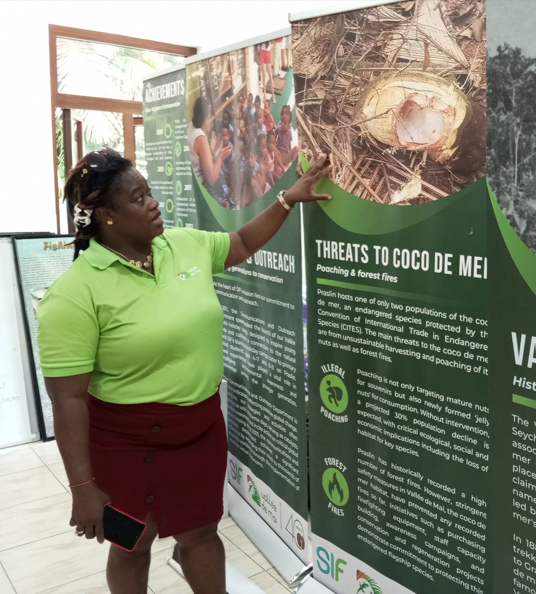 SeyBluefloat tweet media