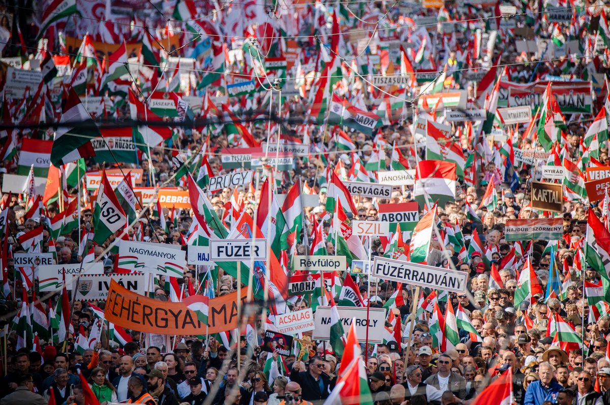 Kinga Gál tweet media