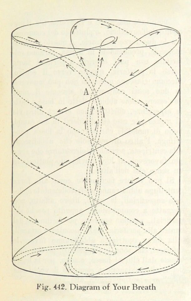 Michael🔥⚖️💧 tweet media