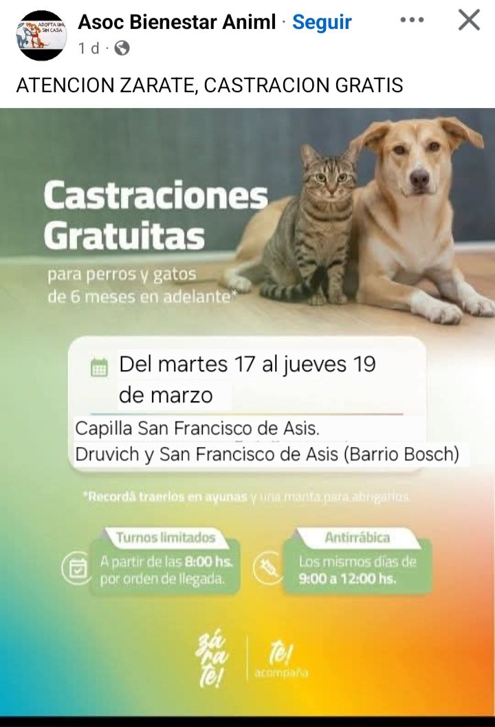 protegealanimal's tweet photo. ZÁRATE - BARRIO BOSCH
#ZÁRATE #BARRIOBOSCH #BARRIOMATADERO #BARRIOMITRE #BARRIOZÁRATE #BARRIOELPROGRESO #ESCALADA #ZONANORTE #BSAS #BUENOSAIRES https://t.co/wVaDsWKi8w
