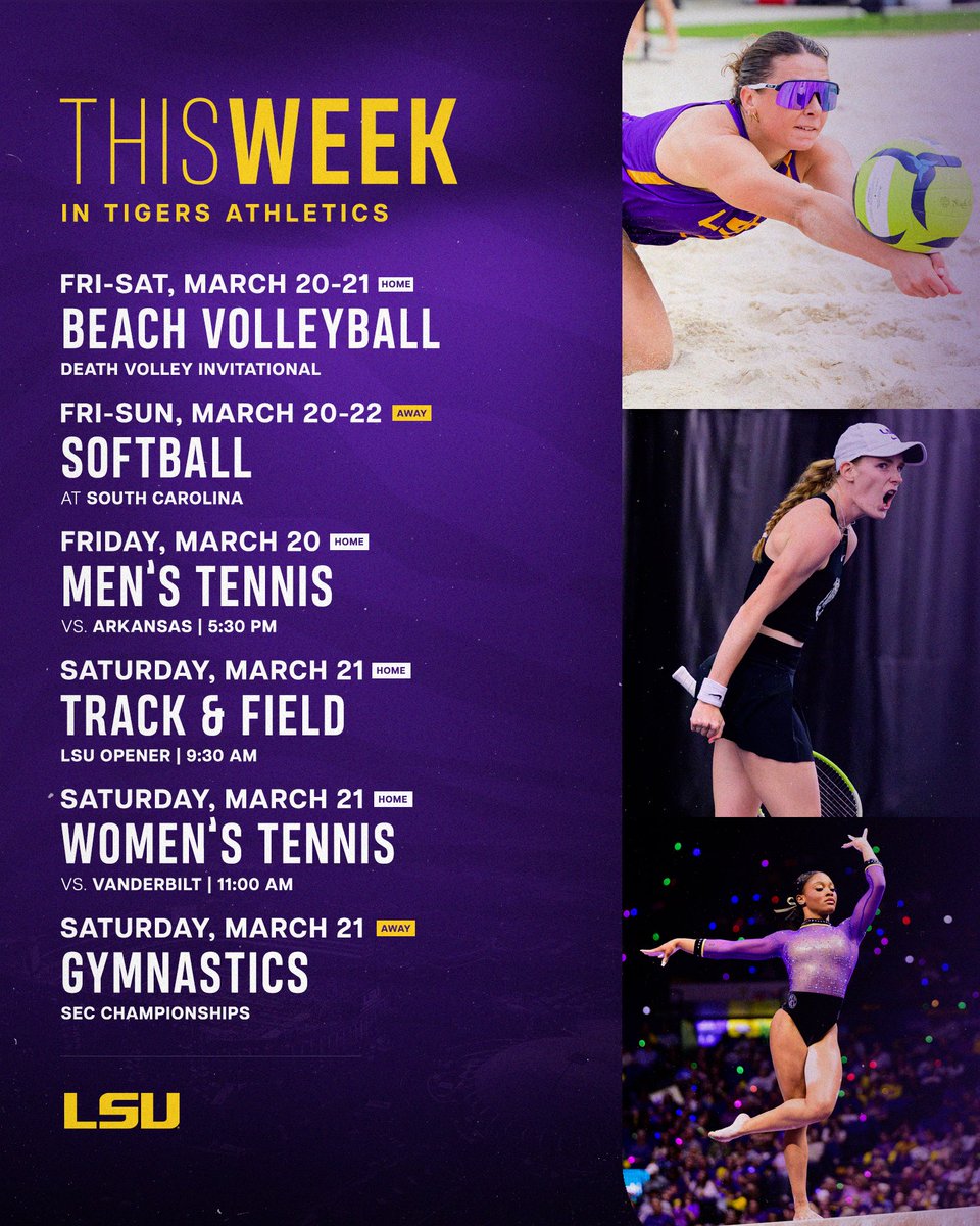 LSU Tigers tweet media