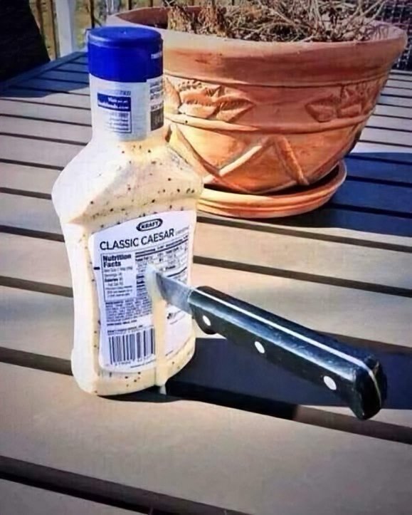 Dawn Fantasia tweet media