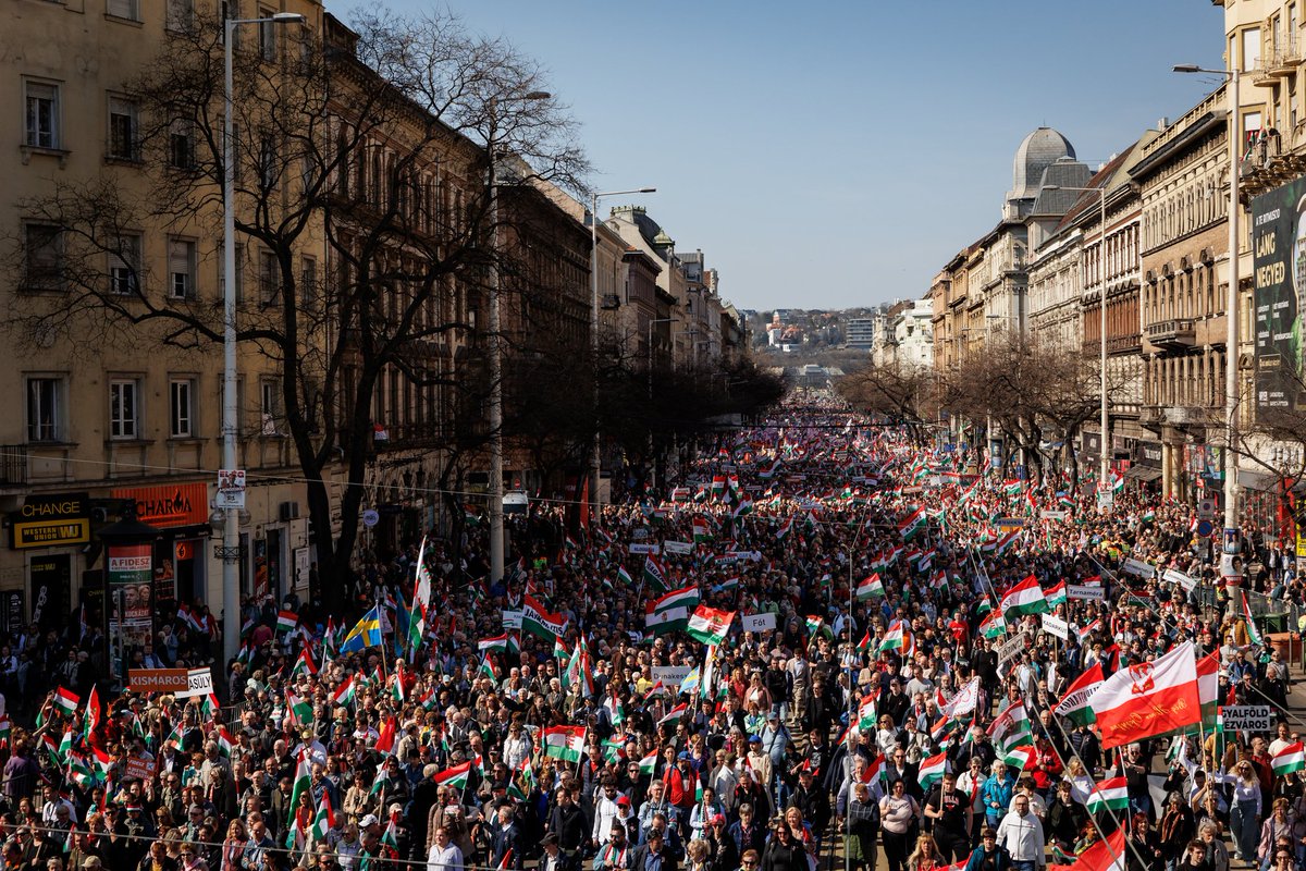 Koskovics Zoltán tweet media