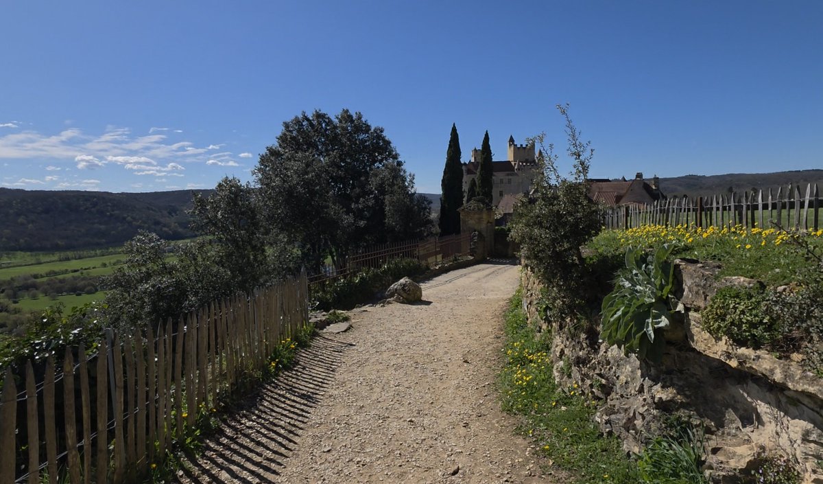 @riad82000IsBack tweet media