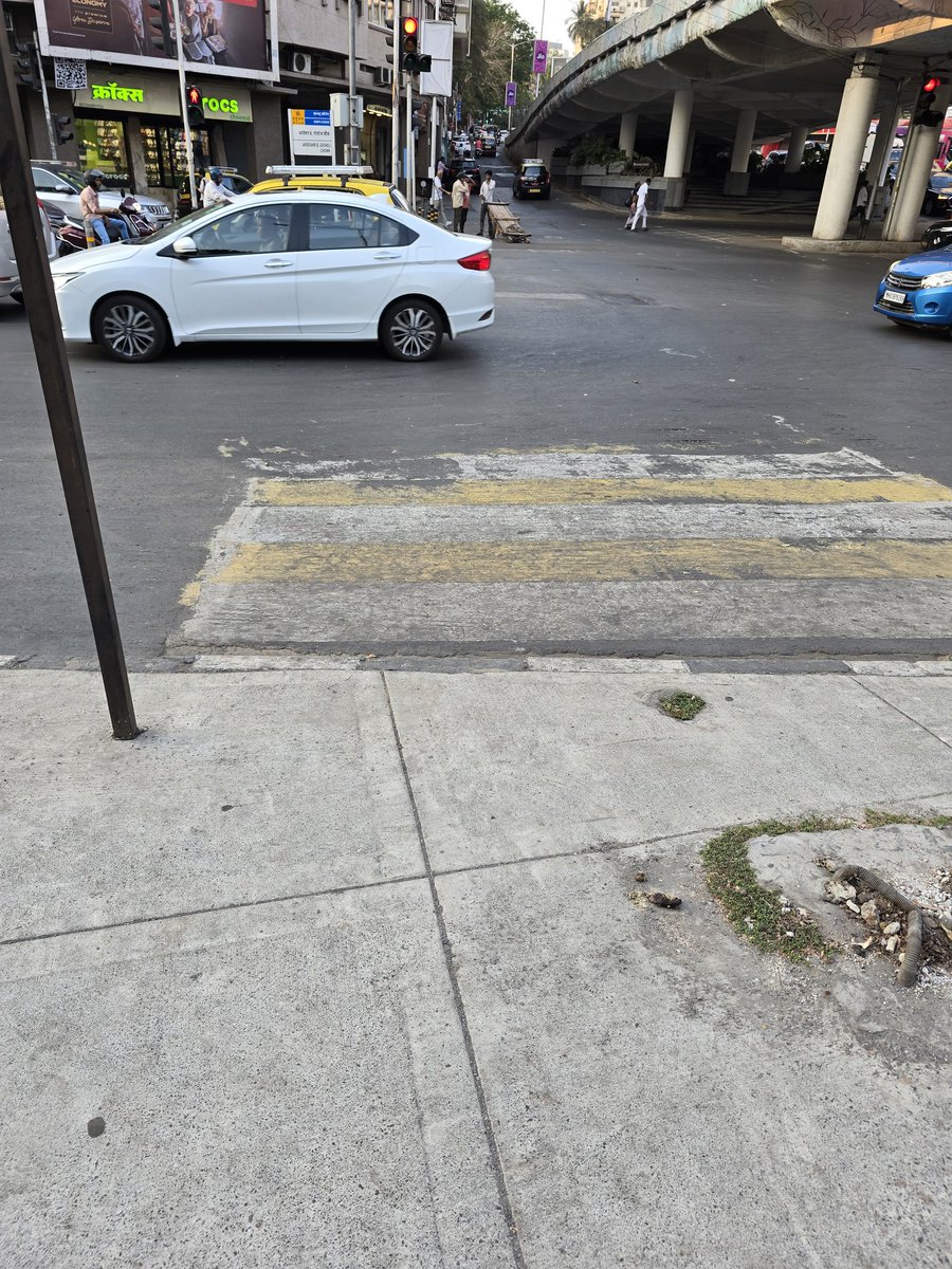 FriendsofMNCDF tweet media