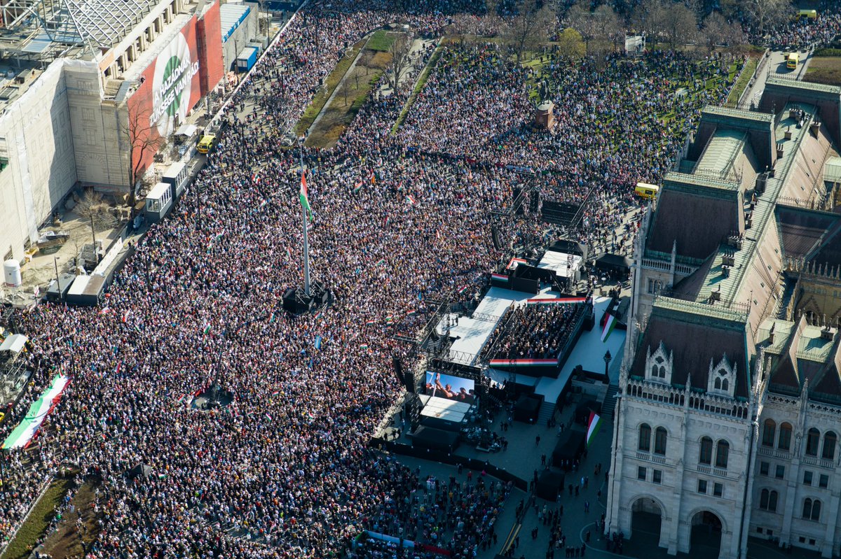 Koskovics Zoltán tweet media