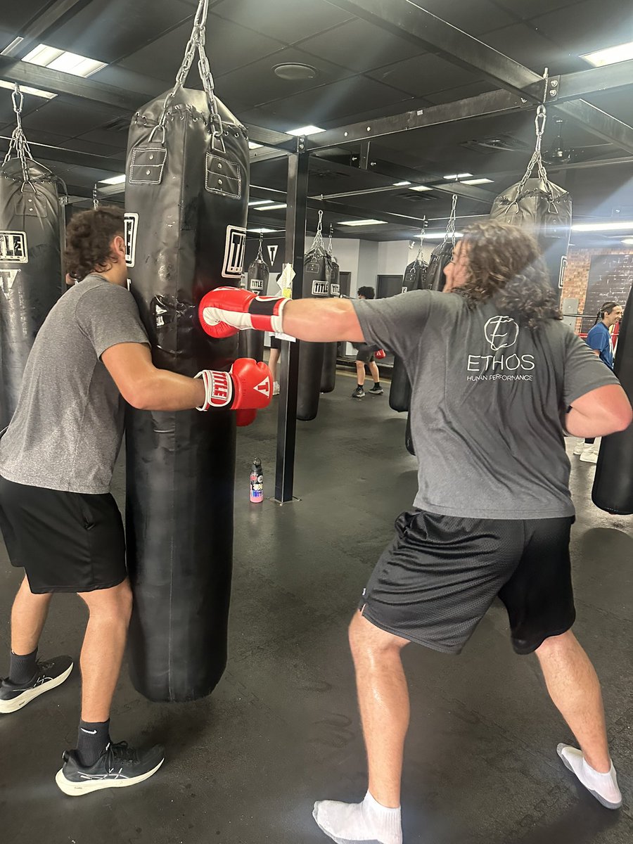 Northville Football tweet media