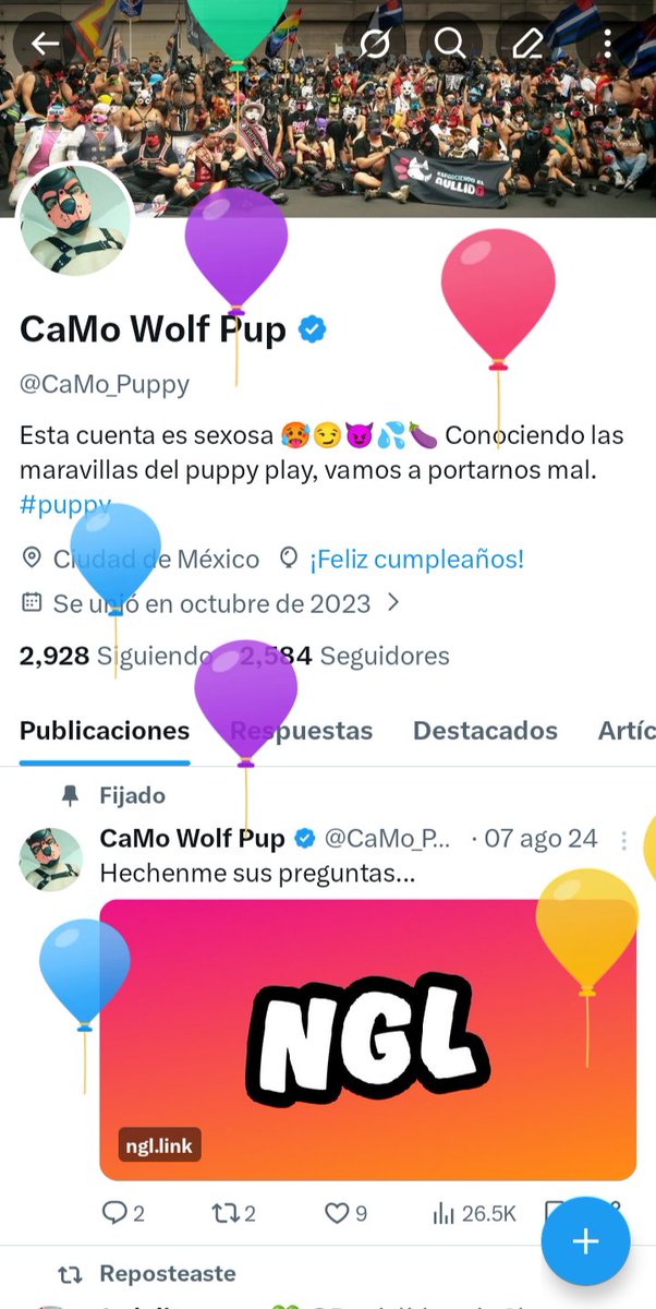 CaMo Wolf Pup tweet media