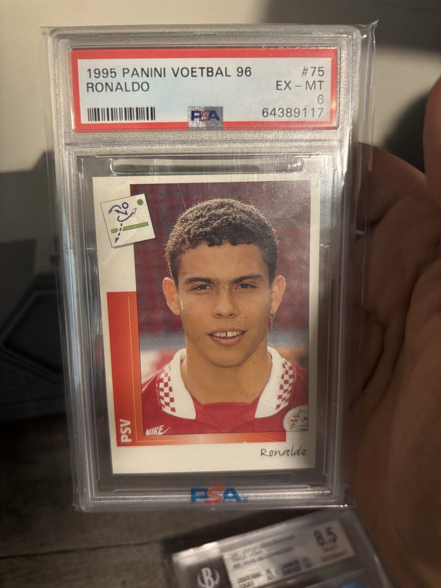 Los Blanco and Yellow tweet media