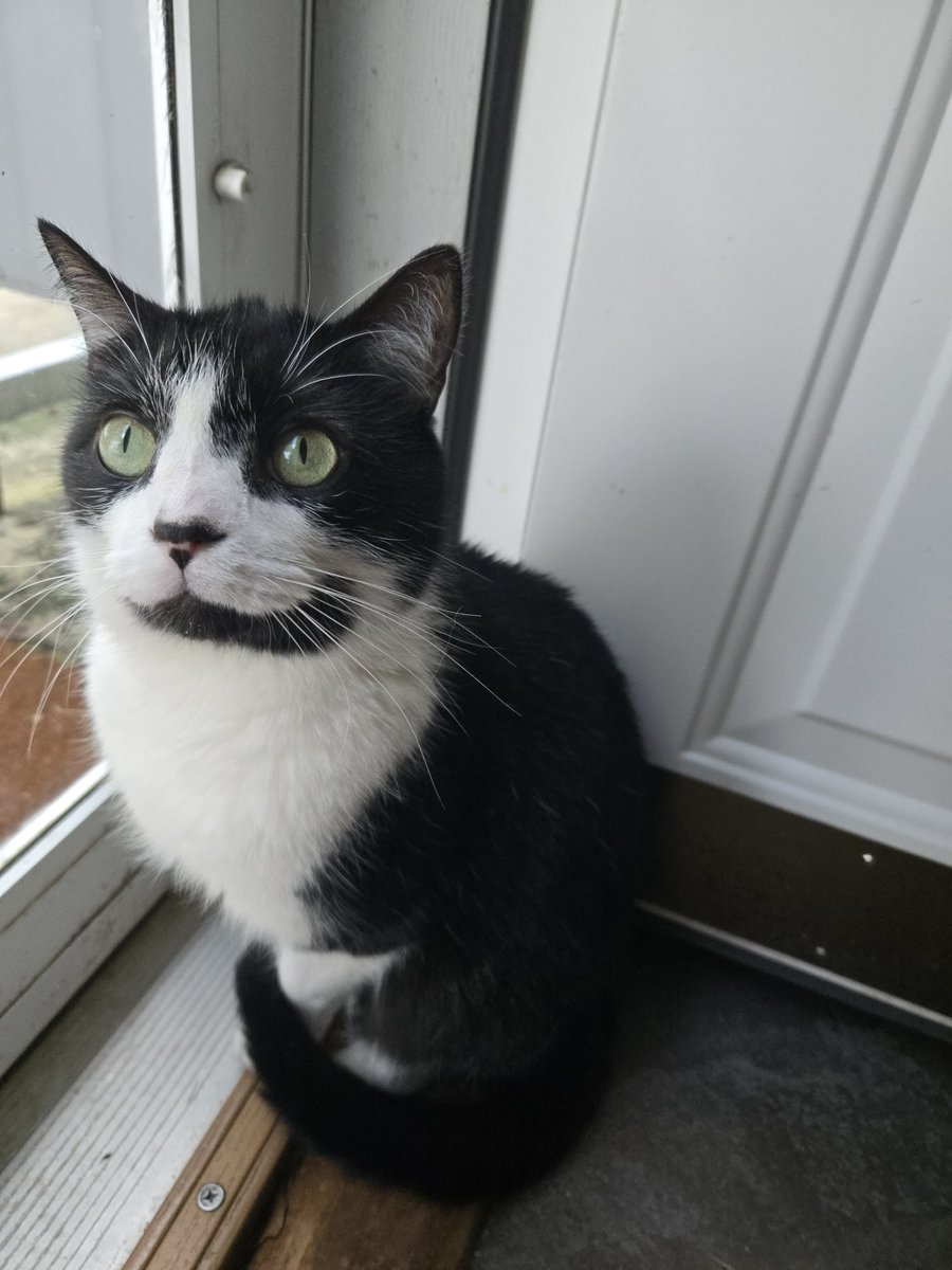 Sabrina the SALTy CPA tweet media