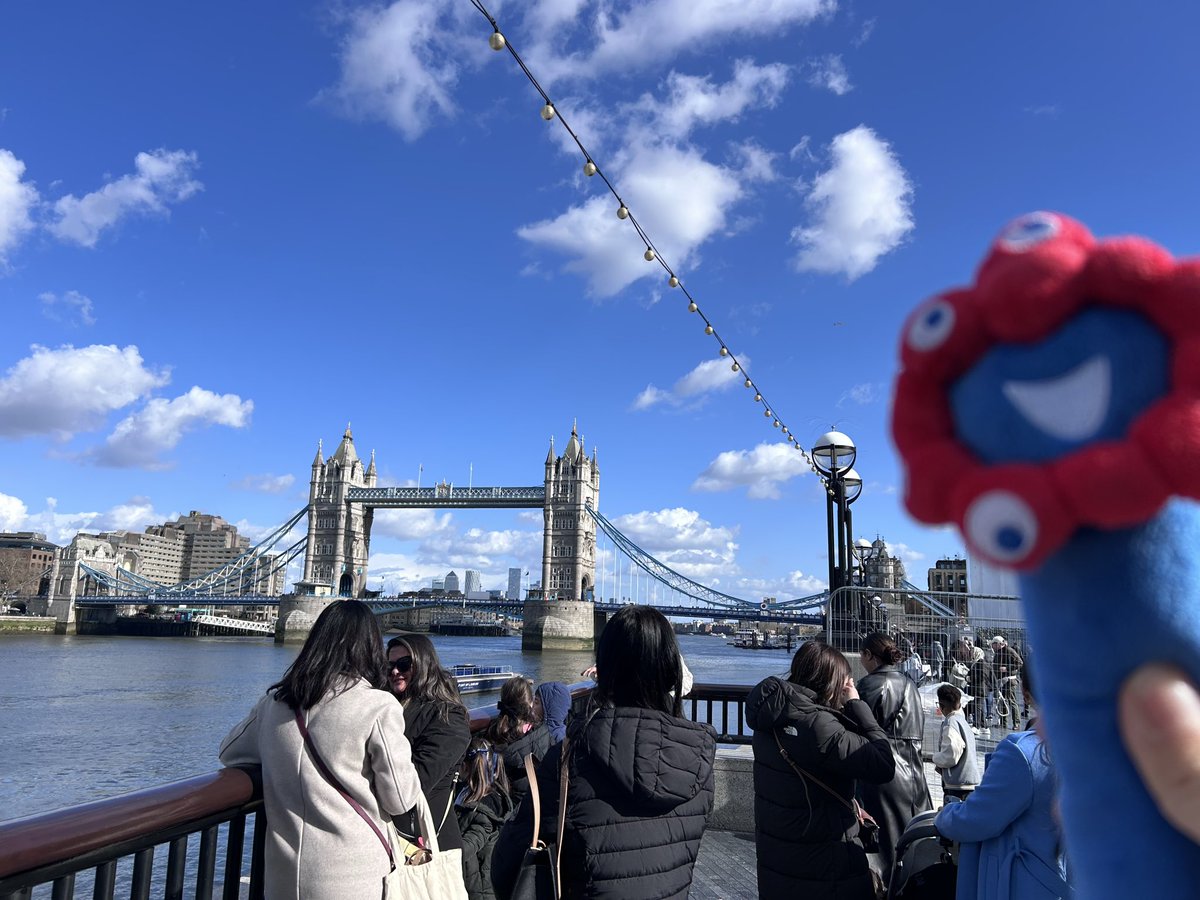 どうしてもボケてしまうミャク様。
久しぶりのロンドンは、
アメックス使えない店多し、
Yahoo使えない（これそのうちLINEもアウトなんじゃ？）
現金ちょっと出しといたけど
一度も使わず終わりそう
とにかく値段が倍の倍の😭

新しいビル増えてた！