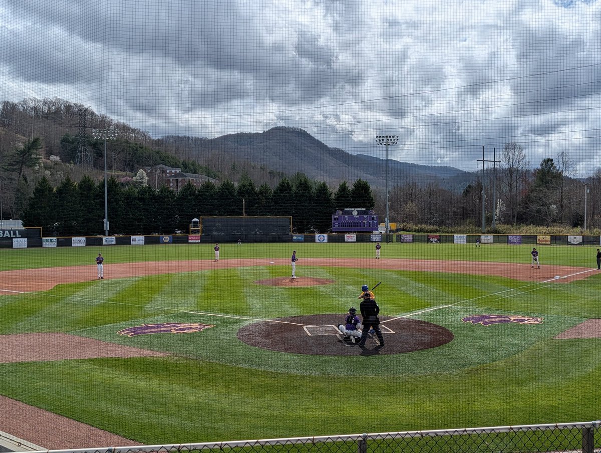 wheehawk tweet media