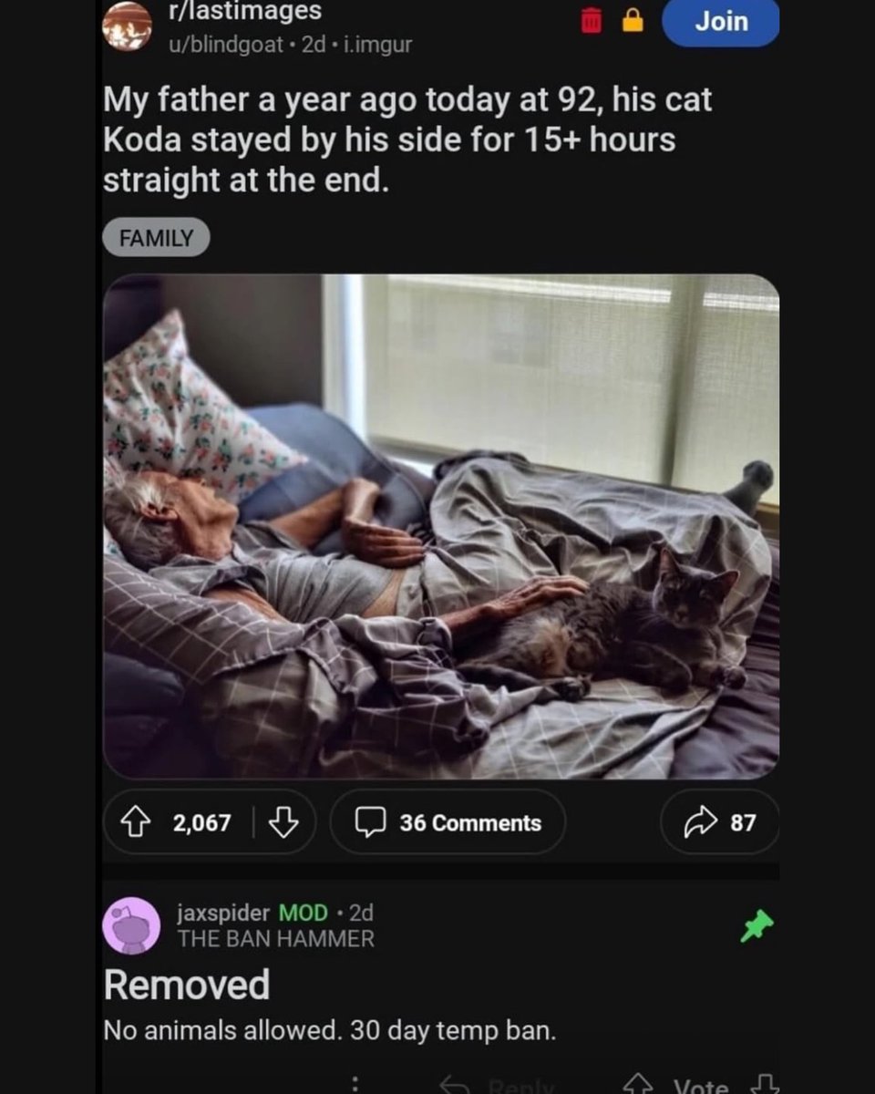 Reddit Reposts tweet media