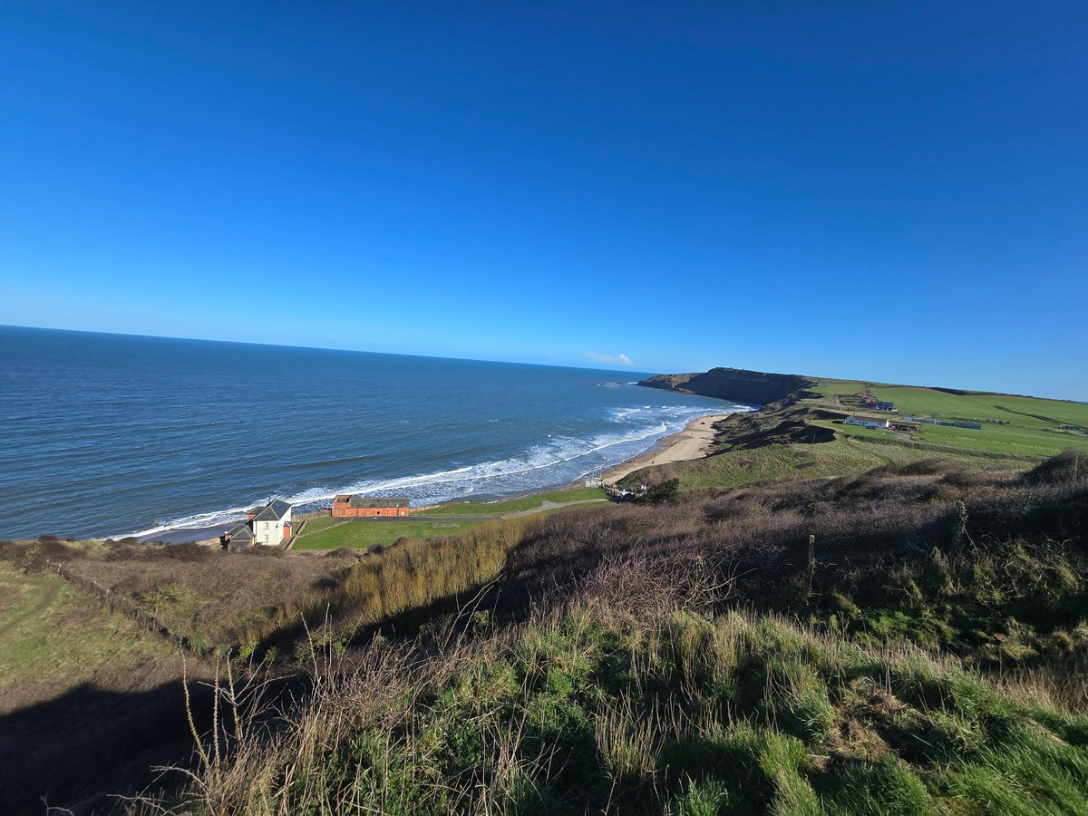 Albert Didds tweet media