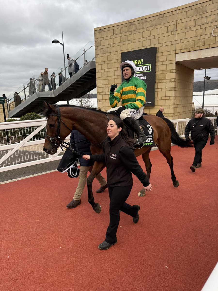 Road To Cheltenham tweet media