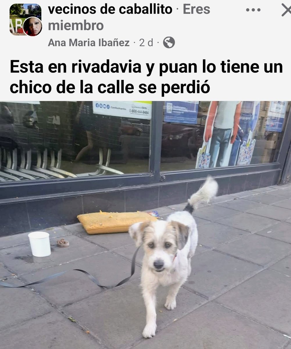 Sylvi@ Millán (@millanneururer) on Twitter photo 