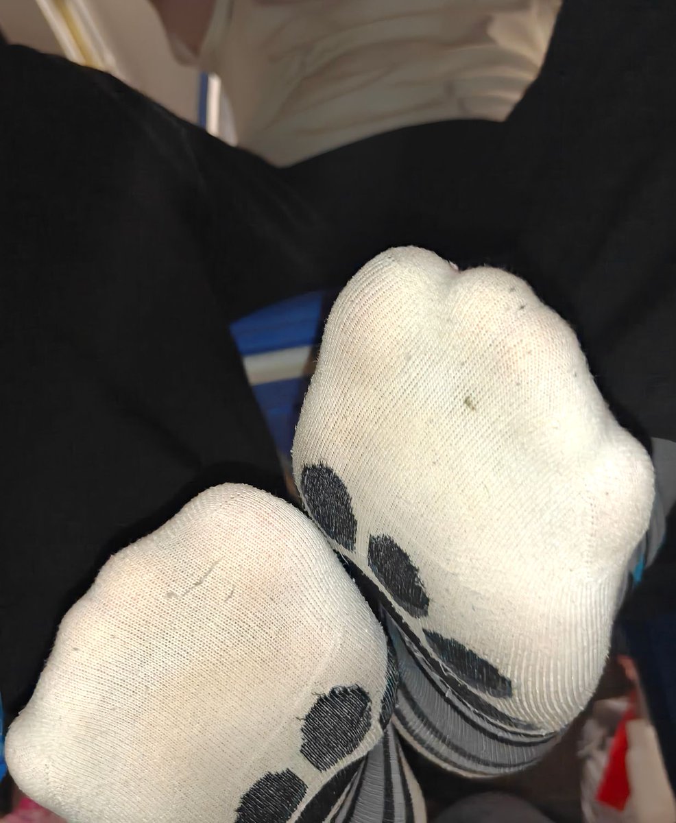 这里是佑月w tweet media