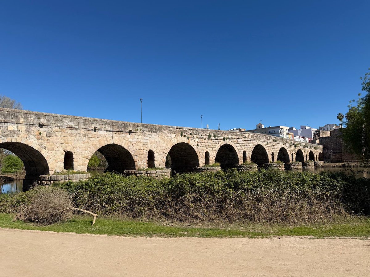 🇪🇸 ErMarquésRomano 🍺 tweet media