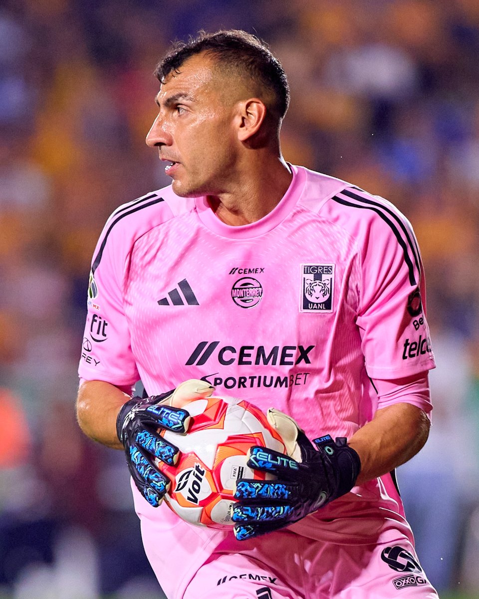 Club Tigres 🐯 tweet media