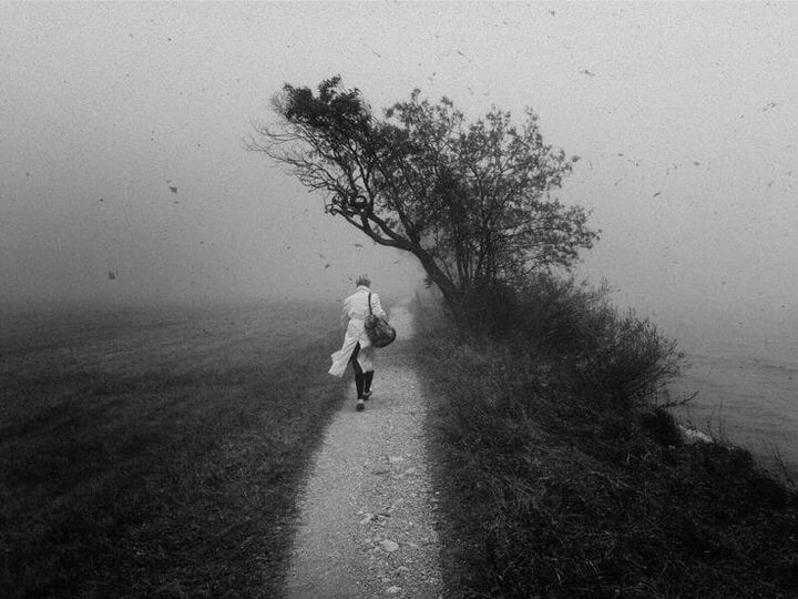 literland tweet media