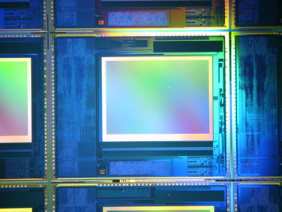 DragonPlayer tweet media