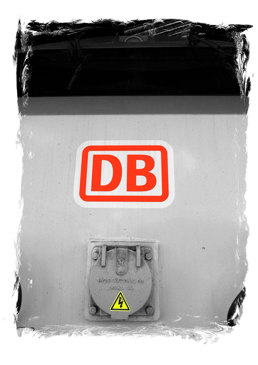 Albert Didds tweet media