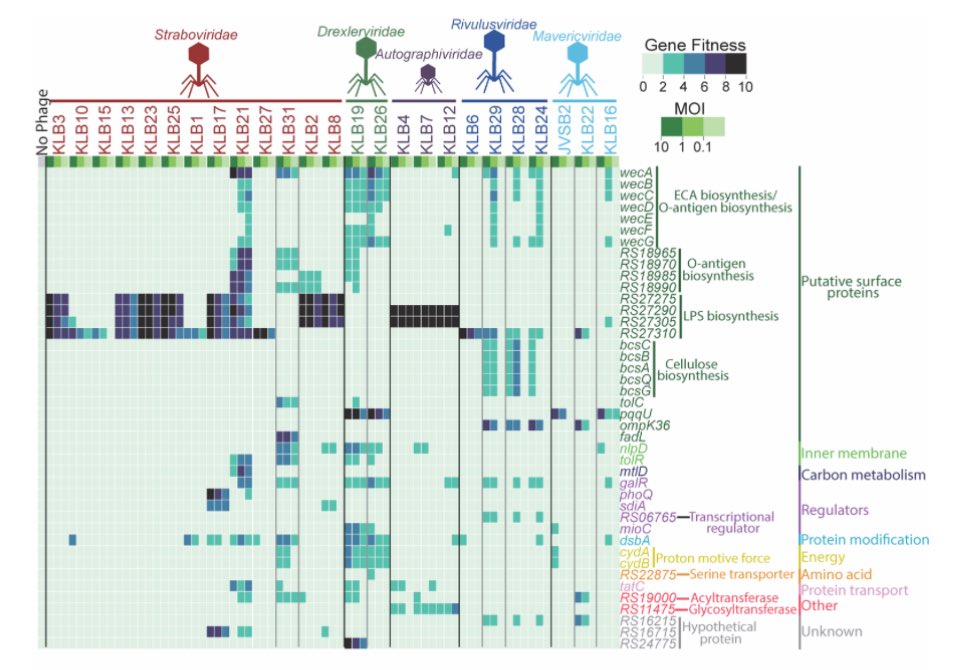 Vivek Mutalik tweet media