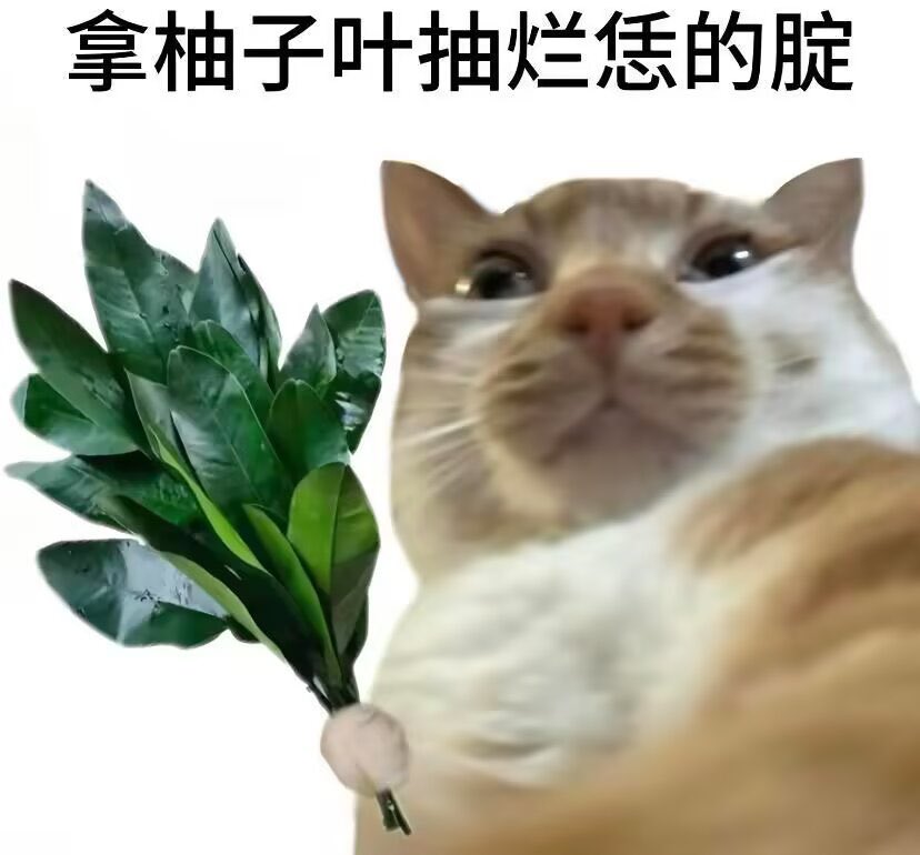 柚子 tweet media