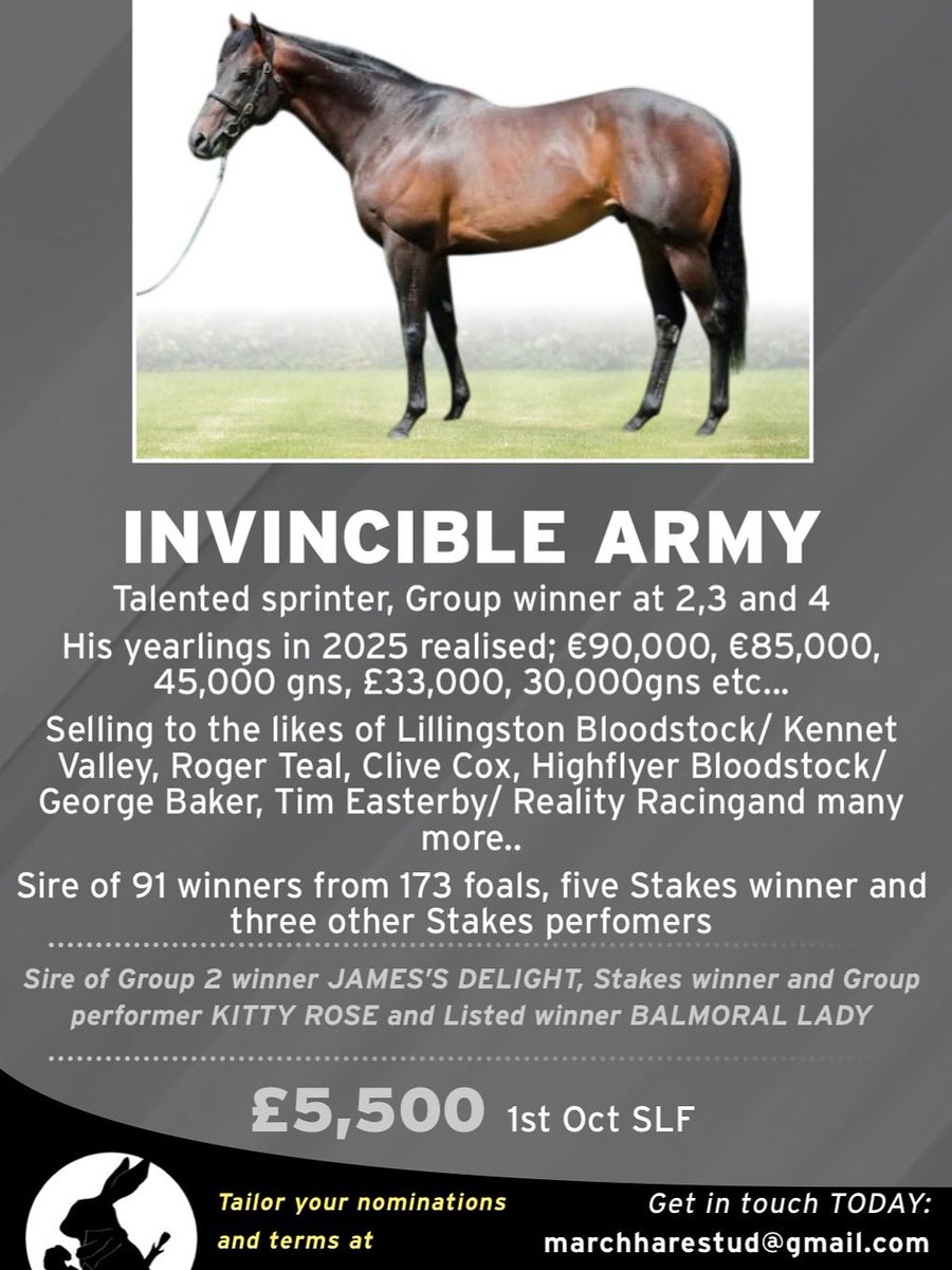 March Hare Stud tweet media