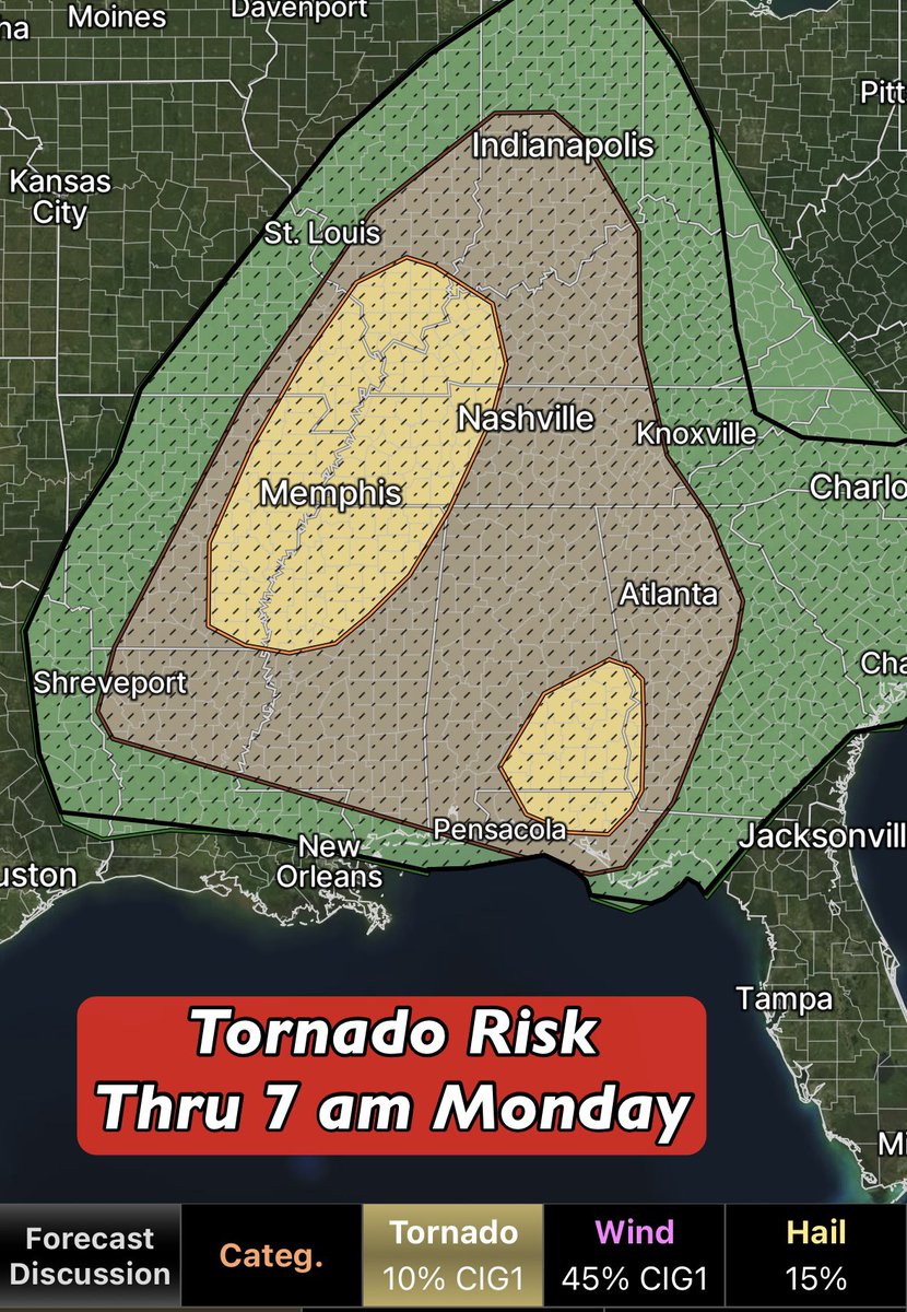 David Paul tweet media