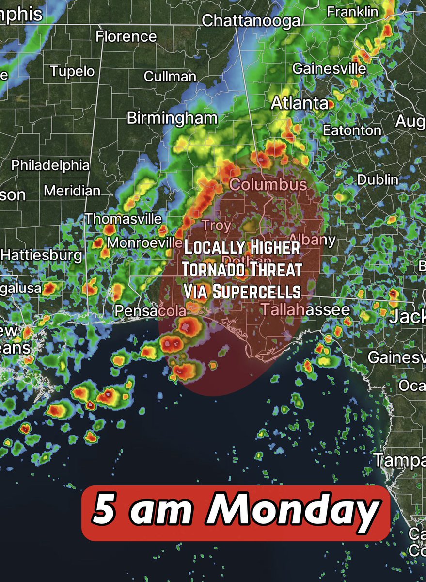 David Paul tweet media