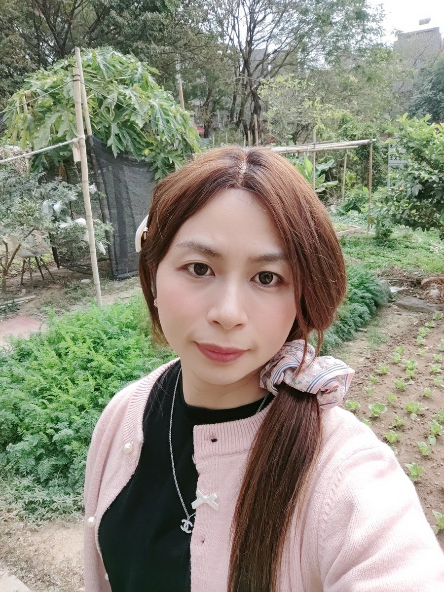 FishSam4's tweet photo. 成個月都無人約。番鄉下耕田算 https://t.co/Rwn1nPUQus