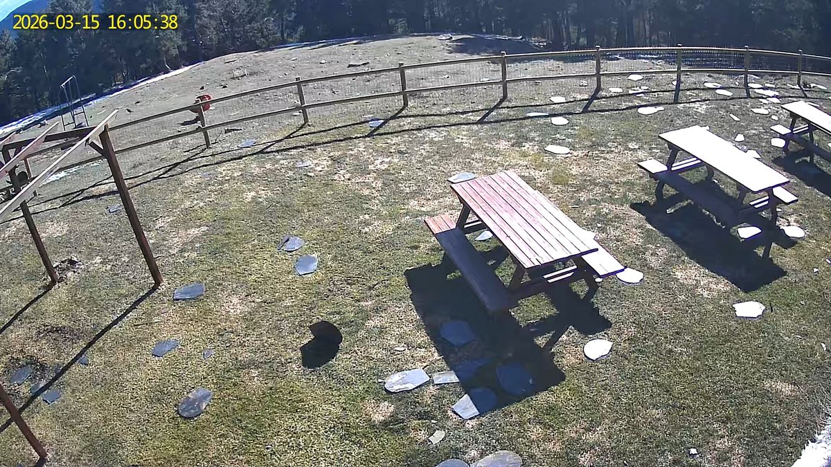 Víctor Férriz Pablo tweet media