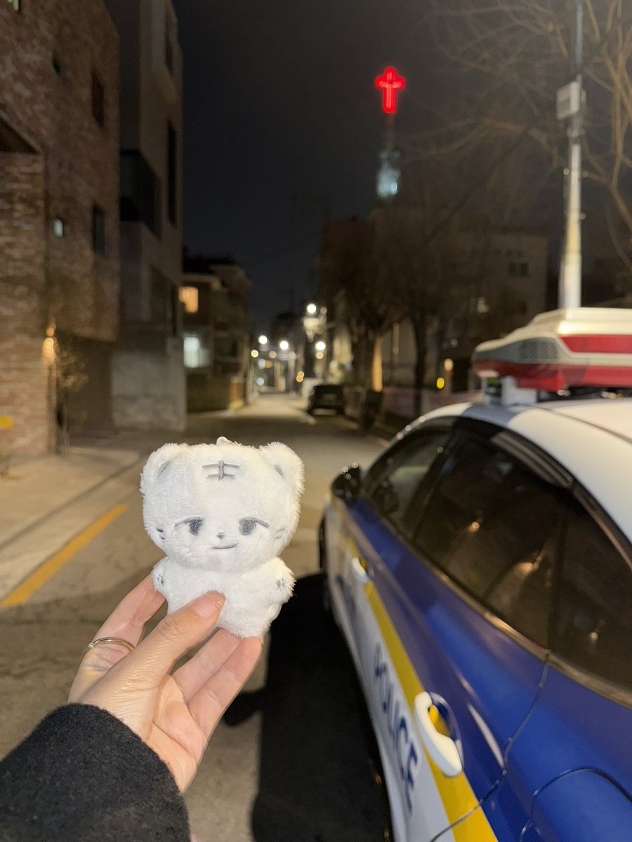 ˚ʚ🦊ɞ˚ RUIAN tweet media