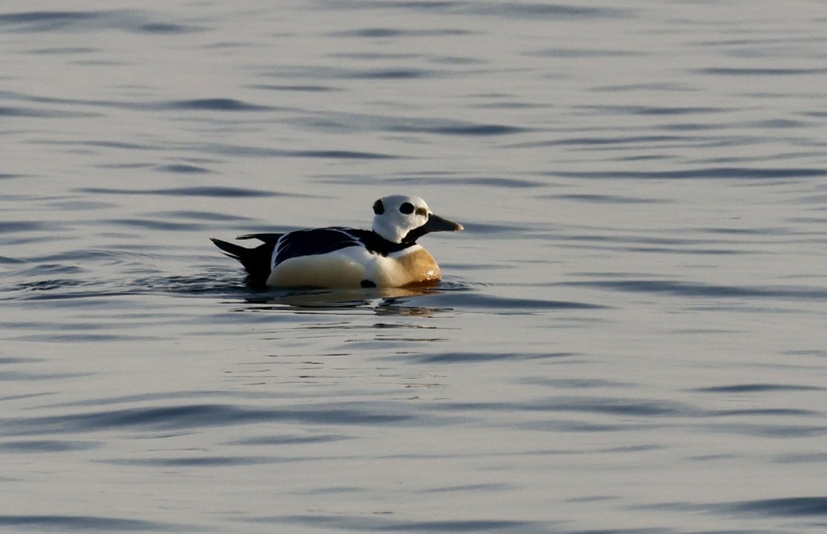 Dan Martin tweet media