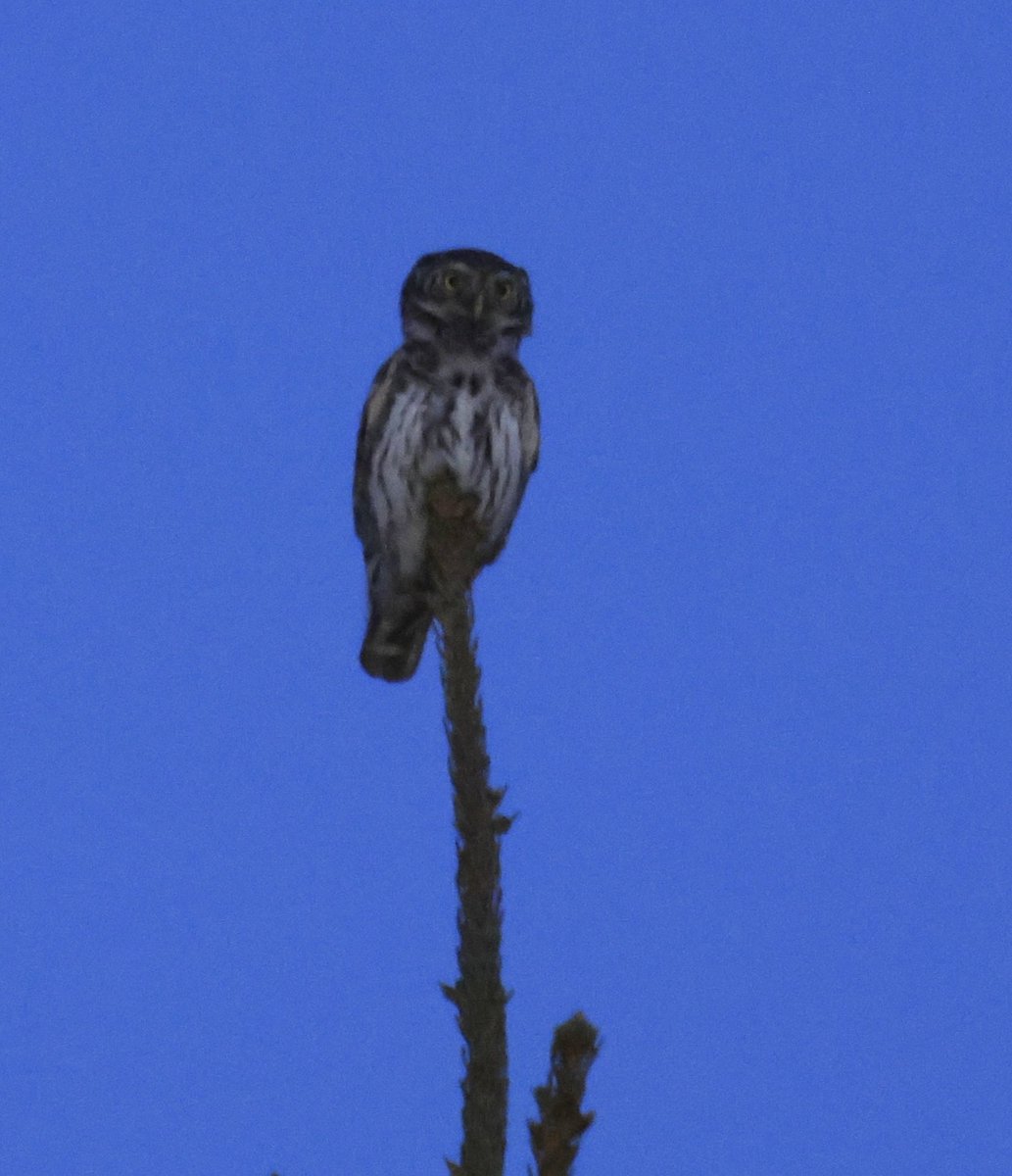 Dan Martin tweet media