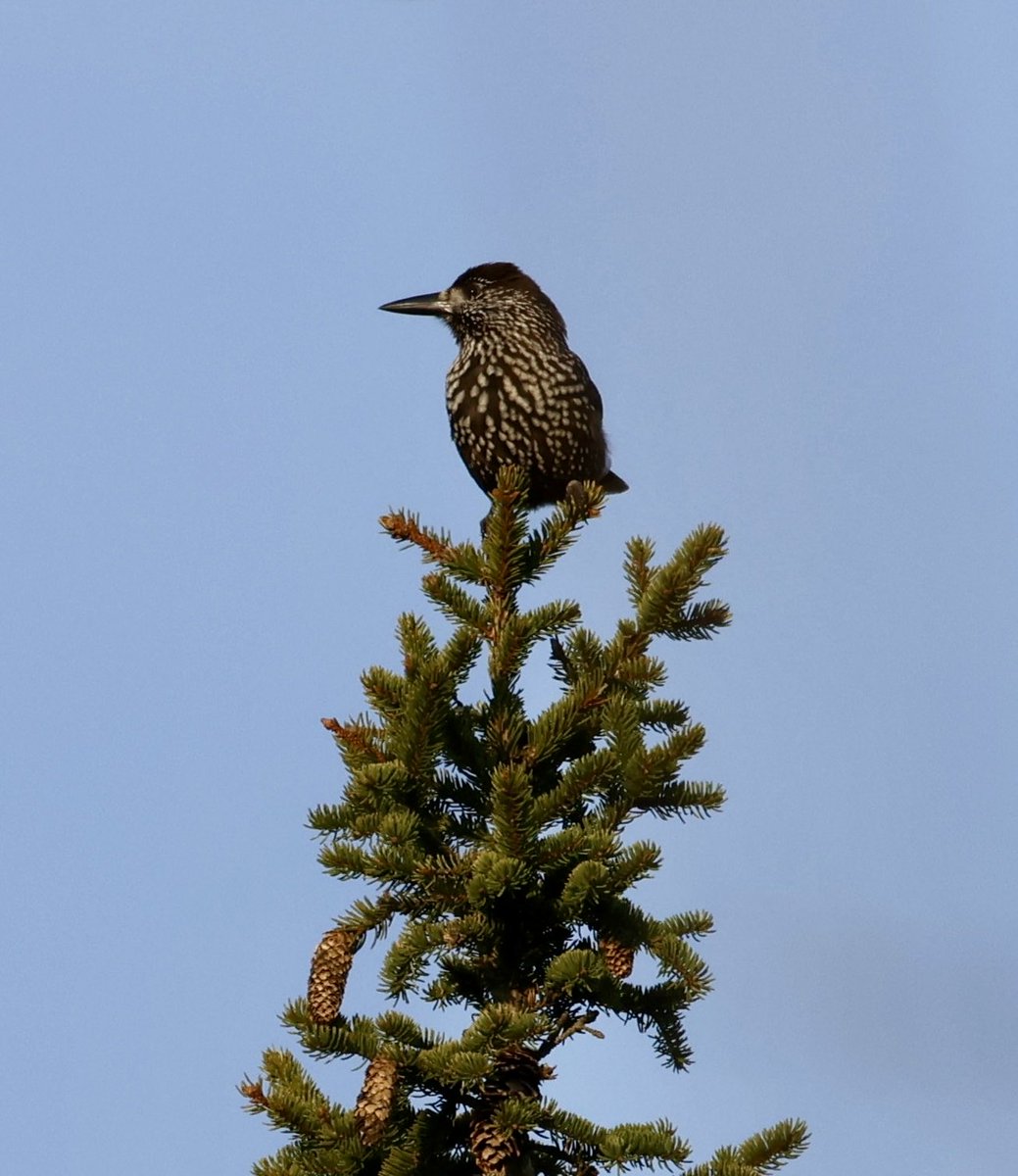 Dan Martin tweet media