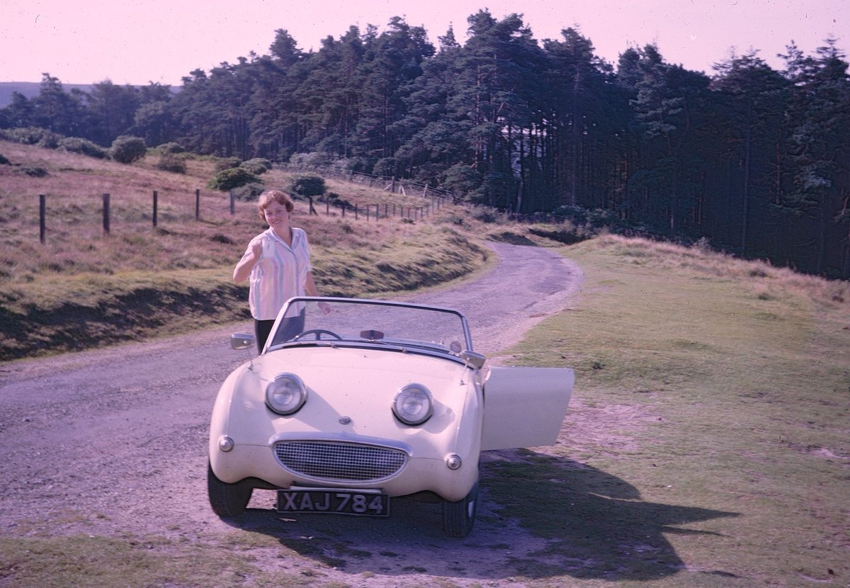 Mark Davies tweet media