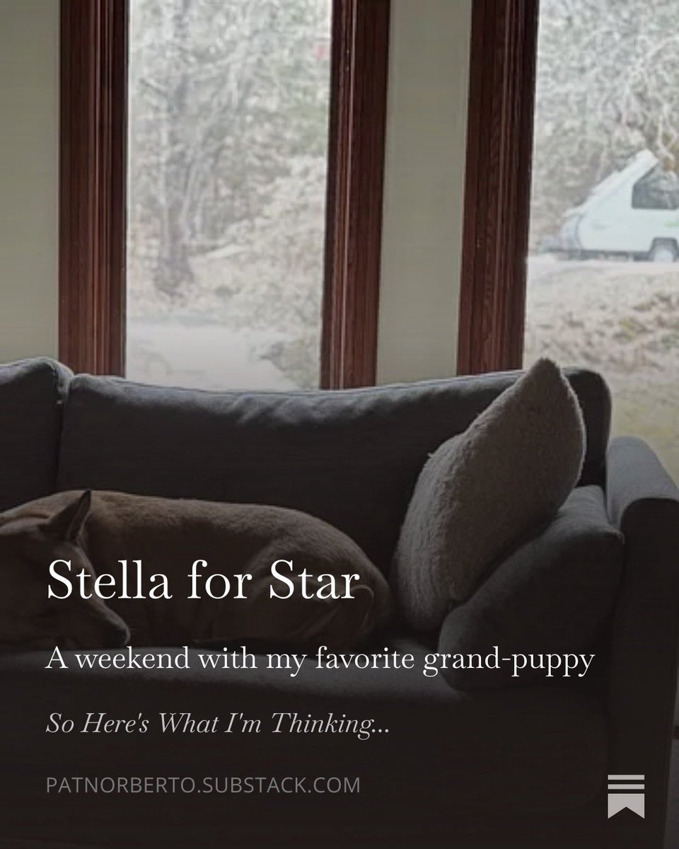 Thing1Norb tweet media