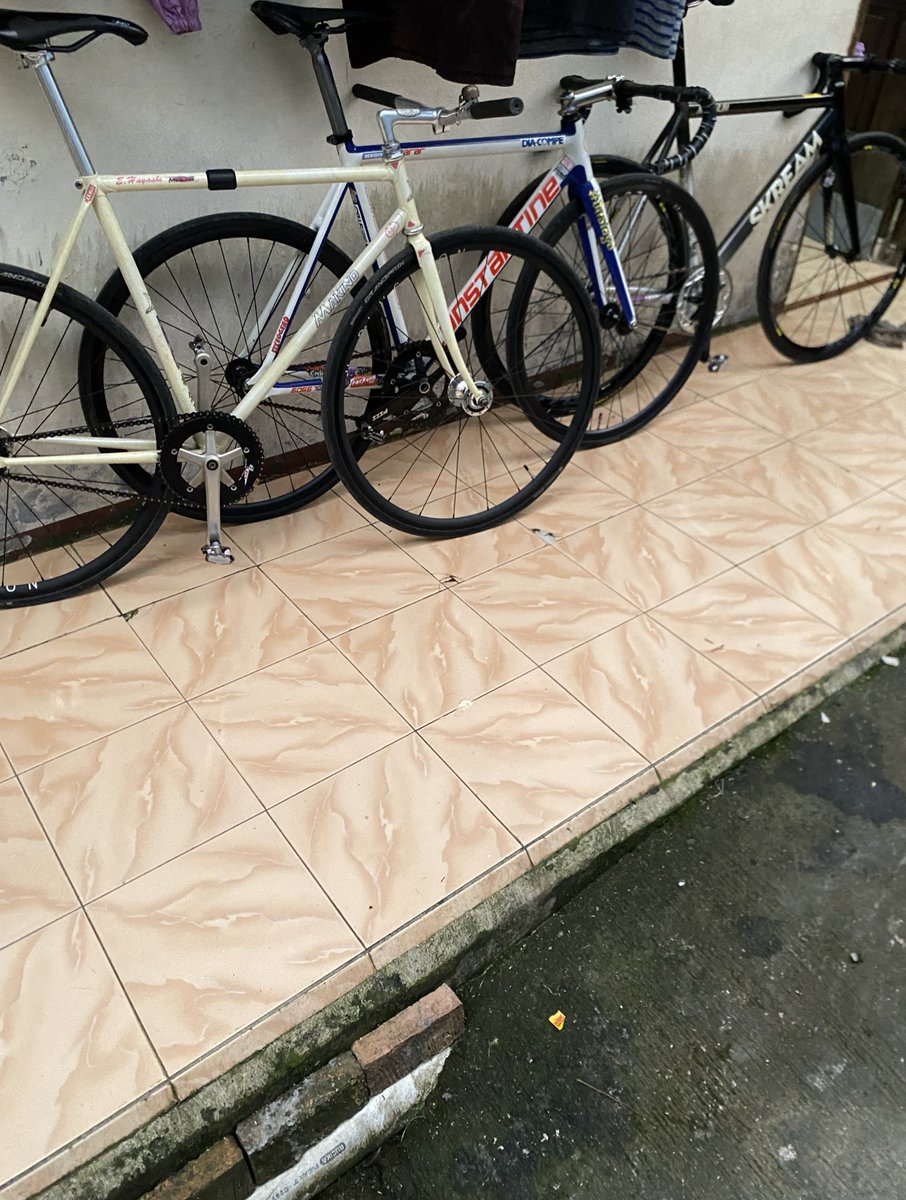 jual ikan cupang tweet media