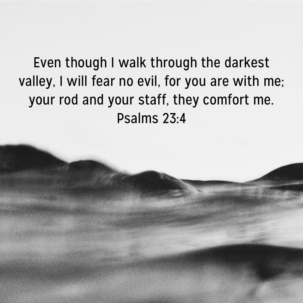 Patrick Dennis tweet media