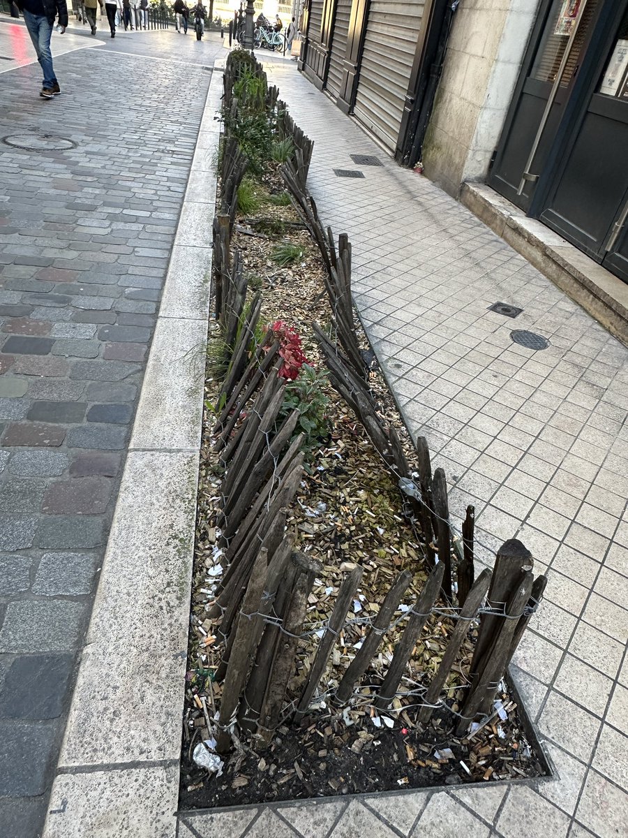 nonamebdx33's tweet image. Voilà les grands projets depuis 6 ans de nos escrologistes à Bordeaux… 🤦🏻‍♂️🤦🏻‍♂️🤦🏻‍♂️ c’est vraiment affligeant 🤦🏻‍♂️🤦🏻‍♂️🤦🏻‍♂️ embellir la ville, la rendre plus verte 🤦🏻‍♂️🤦🏻‍♂️🤦🏻‍♂️ un vrai dépotoir, une ville sale et plus aucun entretien #saccagebordeaux #bordeaux #france #ecologie