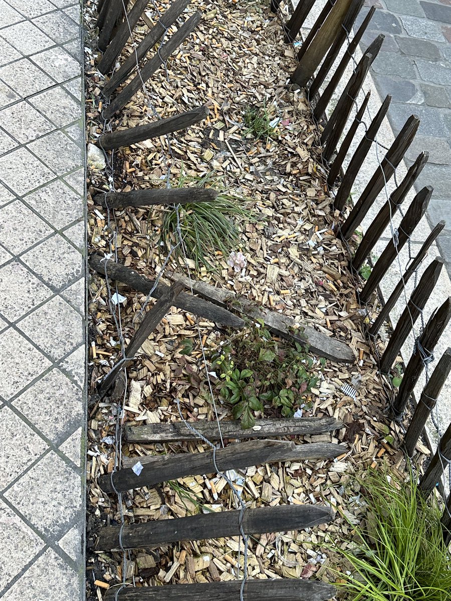 nonamebdx33's tweet image. Voilà les grands projets depuis 6 ans de nos escrologistes à Bordeaux… 🤦🏻‍♂️🤦🏻‍♂️🤦🏻‍♂️ c’est vraiment affligeant 🤦🏻‍♂️🤦🏻‍♂️🤦🏻‍♂️ embellir la ville, la rendre plus verte 🤦🏻‍♂️🤦🏻‍♂️🤦🏻‍♂️ un vrai dépotoir, une ville sale et plus aucun entretien #saccagebordeaux #bordeaux #france #ecologie