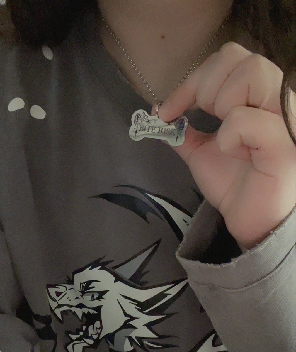 TacticalBoops tweet media