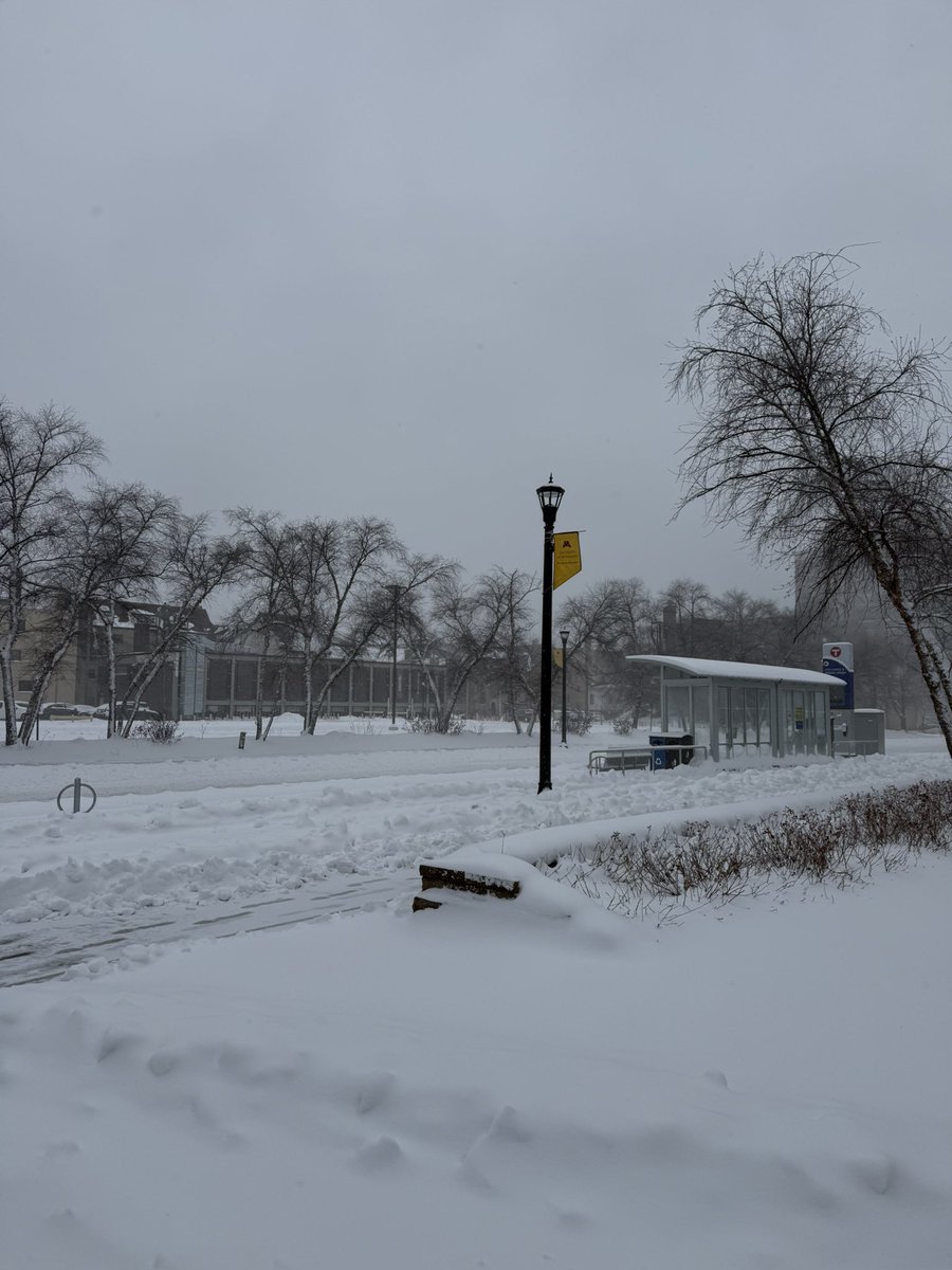 Minnesota Women’s Gym tweet media