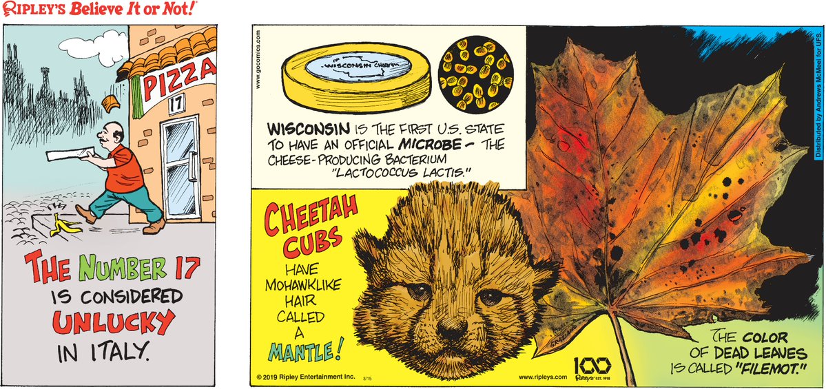 Ripley's Believe It or Not! tweet media