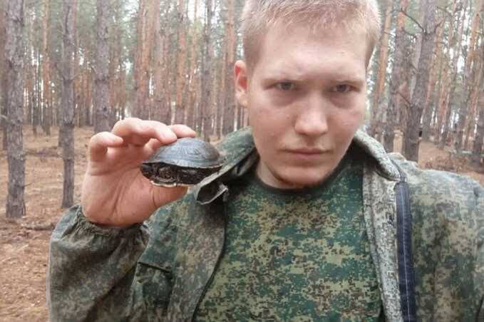 Сергей Дорожный tweet media